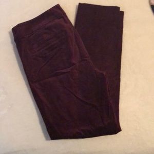 Wine Maroon Colored Velvet Pixie Pants